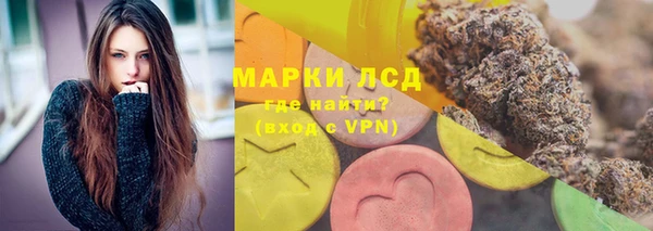 СК Алексин