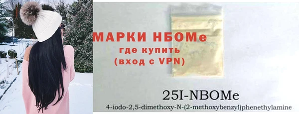 СК Алексин
