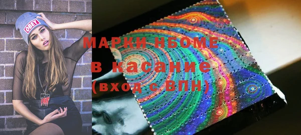 СК Алексин